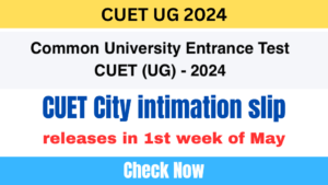 CUET UG 2024 City intimation slip