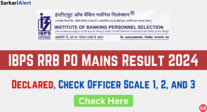 IBPS RRB PO Mains Result 2024
