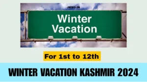 Winter Vacation 2024 Kashmir Schools, DSEK submitted proposal