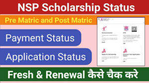 NSP Scholarship 2025 Payment Status: Check Your Payment Online Using Application ID & Beneficiary Code