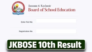 Result of 10th Class 2025 JKBOSE Search by Name